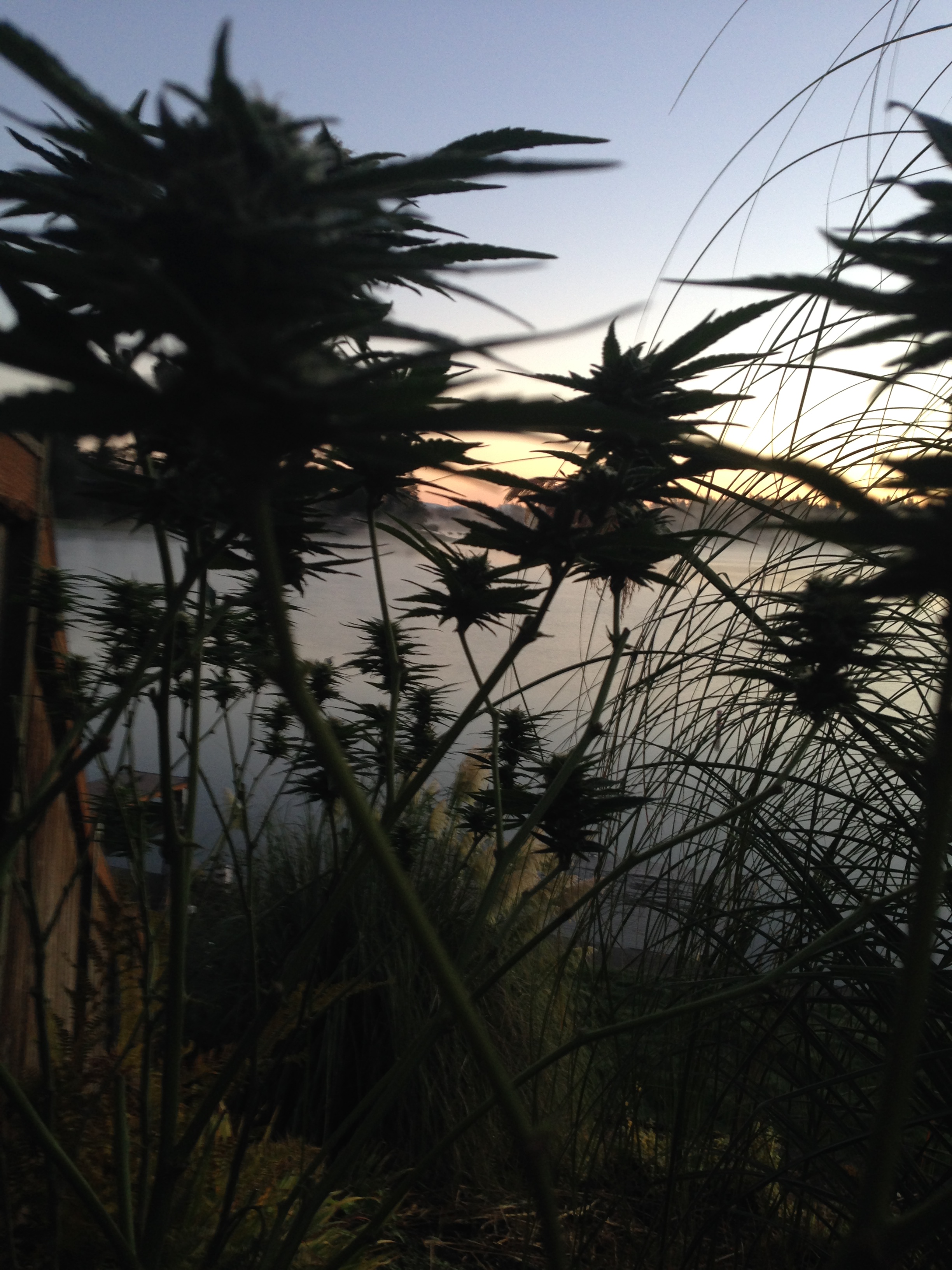 File Mar 29, 12 40 41 PM