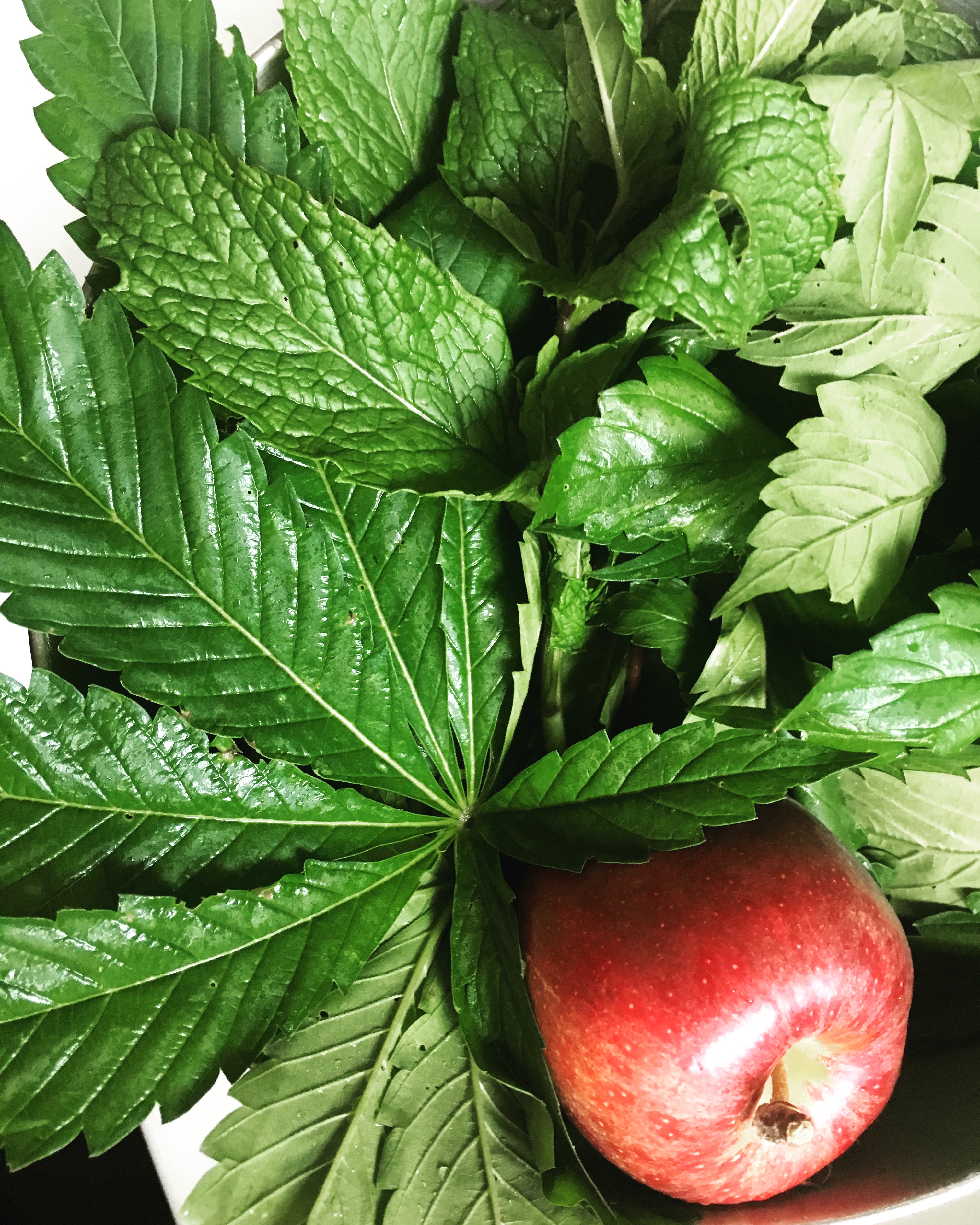 E76B93C9-FF8C-4BFE-8277-12DCB16C287B